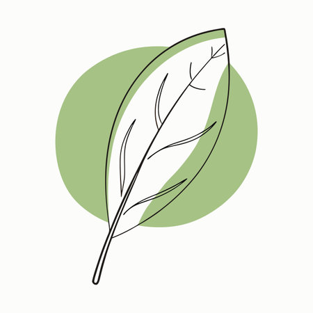 Minimalist Leaf on white backgroundのイラスト素材