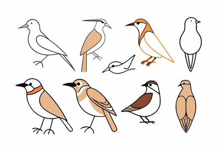 Birds icon collection on white backgroundのイラスト素材
