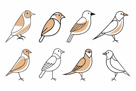 Birds icon collection on white backgroundのイラスト素材
