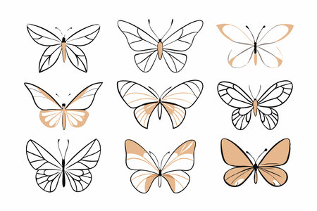 Butterfly collection on white backgroundのイラスト素材