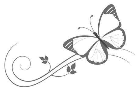 Minimalist butterfly on white backgroundのイラスト素材