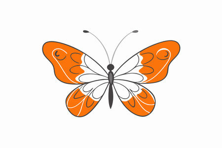 Minimalist butterfly on white backgroundのイラスト素材
