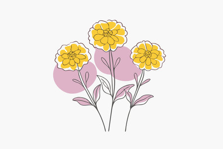 Minimalist Marigold flowers on white backgroundのイラスト素材