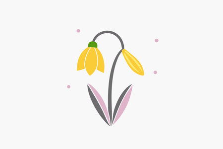 Minimalist Snowdrop on white backgroundのイラスト素材