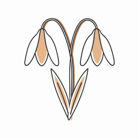 Minimalist Snowdrop on white backgroundのイラスト素材