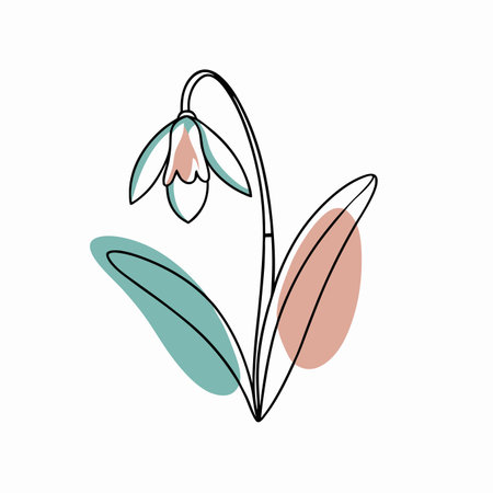Minimalist Snowdrop on white backgroundのイラスト素材