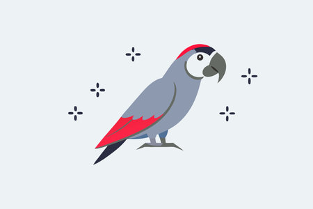 Minimalist macaw on white background