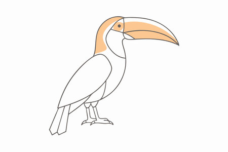 Minimalist toucan on white backgroundのイラスト素材