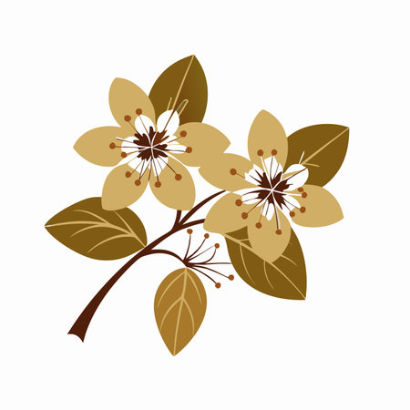 Minimalist Cherry blossom on white backgroundのイラスト素材