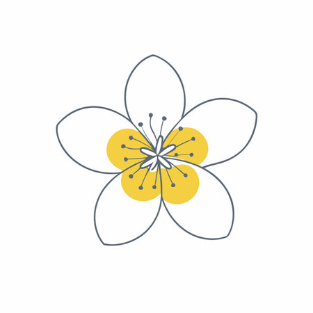 Minimalist Cherry blossom on white backgroundのイラスト素材