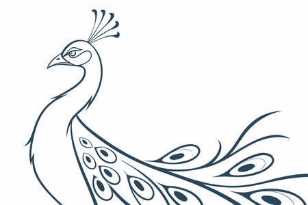 Minimalist peacock on white backgroundのイラスト素材