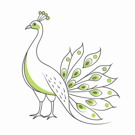 Minimalist peacock on white backgroundのイラスト素材