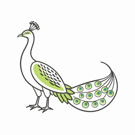 Minimalist peacock on white backgroundのイラスト素材