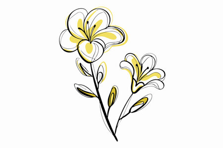Illustration of flower line art on white backgroundのイラスト素材