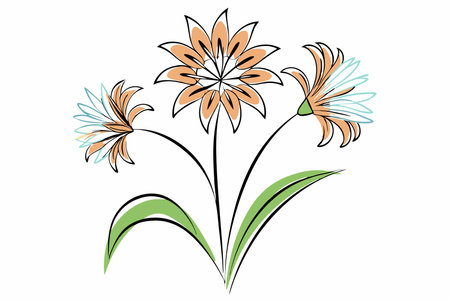 Illustration of flower line art on white backgroundのイラスト素材