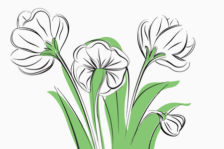 Illustration of flower line art on white backgroundのイラスト素材