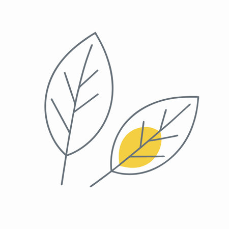 Minimalist leaf illustration on white backgroundのイラスト素材