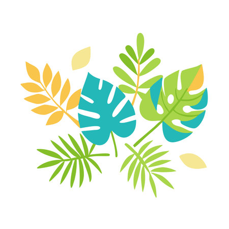 Minimalist tropical leave illustration on white backgroundのイラスト素材