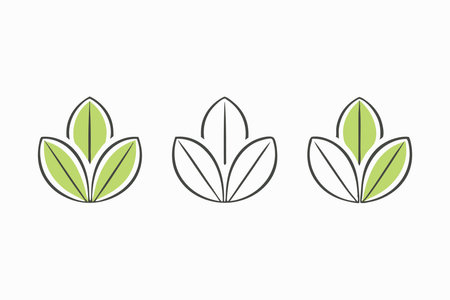 Minimalist tropical leave illustration on white backgroundのイラスト素材