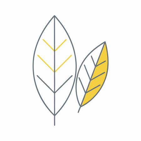 Minimalist leaf illustration on white backgroundのイラスト素材