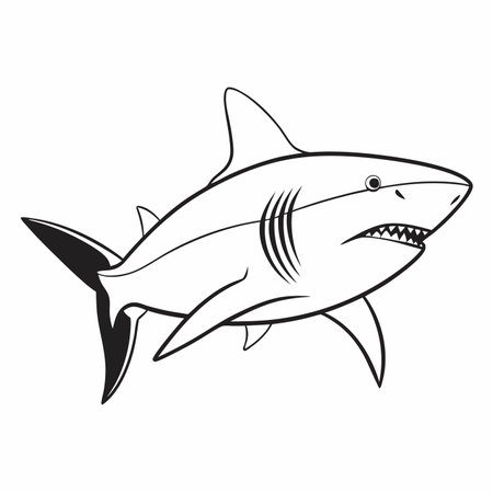 Minimalist shark on white backgroundのイラスト素材