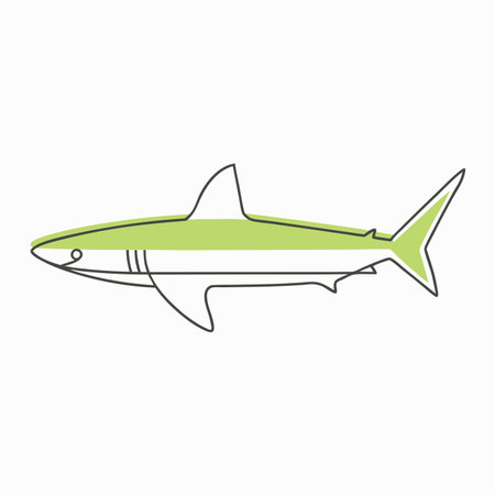Minimalist shark on white backgroundのイラスト素材