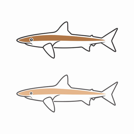 Minimalist shark on white backgroundのイラスト素材