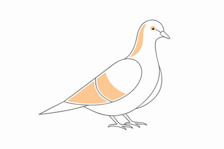 Minimalist Dove on white backgroundのイラスト素材