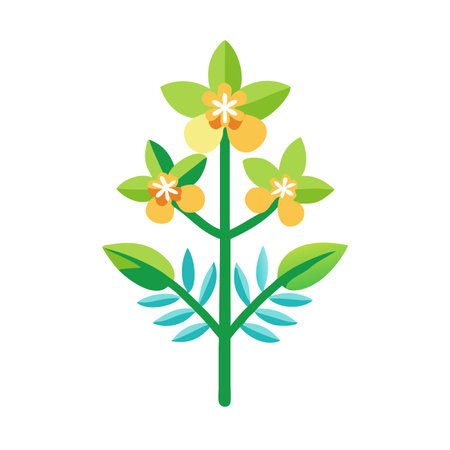Minimalist Frangipani flower on white backgroundのイラスト素材