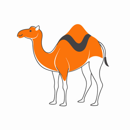 Minimalist Camel on white backgroundのイラスト素材