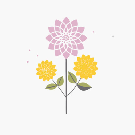 Minimalist Dahlias flower on white backgroundのイラスト素材