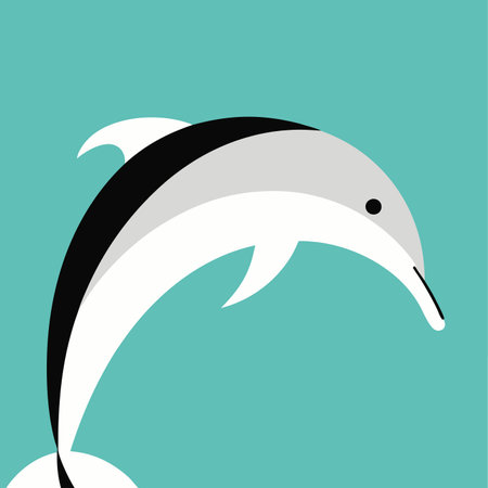 Minimalist Dolphin on white backgroundのイラスト素材