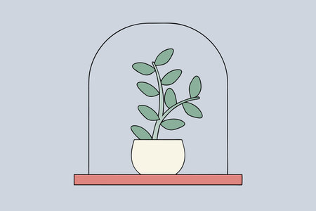 Minimalist houseplant on white backgroundのイラスト素材