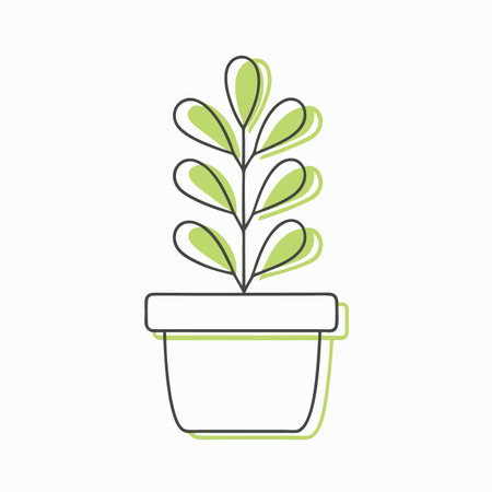 Minimalist houseplant on white backgroundのイラスト素材