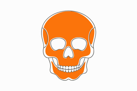 Minimalist skull on white backgroundのイラスト素材