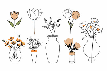 Assorted flower arrangements on white backgroundのイラスト素材