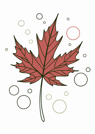 Minimalist Red autumn leaf on white background