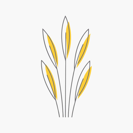 Minimalist Snake plant on white backgroundのイラスト素材