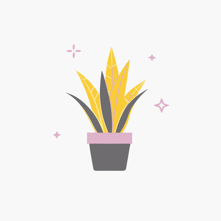 Minimalist Snake plant on white backgroundのイラスト素材