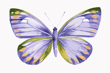 Colorful butterfly Watercolor on white backgroundのイラスト素材