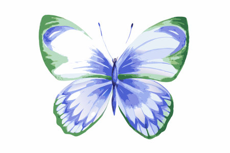 Colorful butterfly Watercolor on white backgroundのイラスト素材