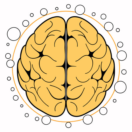 Minimalist Human brain on white backgroundのイラスト素材