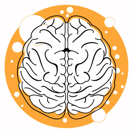 Minimalist Human brain on white backgroundのイラスト素材