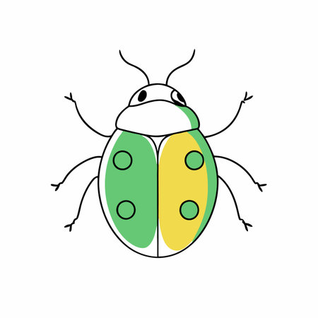 Minimalist Ladybug on white backgroundのイラスト素材