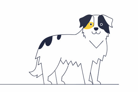 Minimalist Cute Australian shepherd on white backgroundのイラスト素材