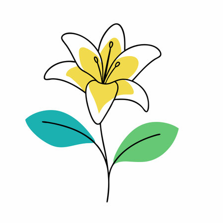 Minimalist Lily flower on white backgroundのイラスト素材