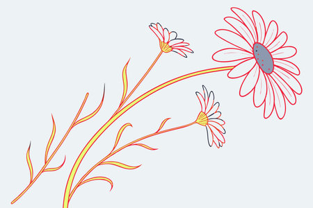 Minimalist Daisy or Camomile on white backgroundのイラスト素材