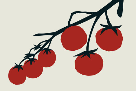 Minimalist Tomatoes on a branch on white backgroundのイラスト素材
