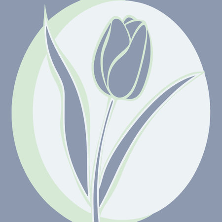 Minimalist Tulip on white backgroundのイラスト素材