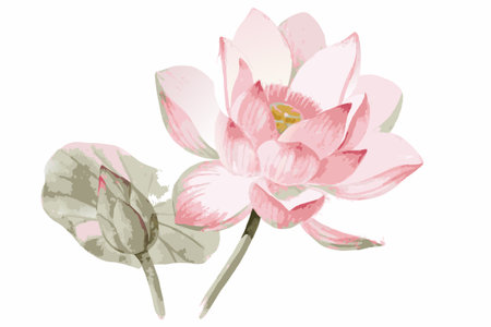 Watercolor flower on white backgroundのイラスト素材
